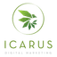 Icarus